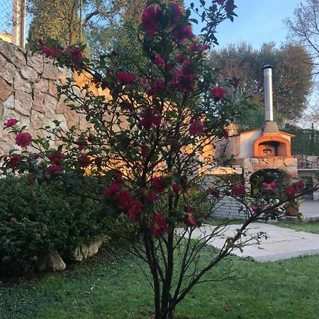 B&B Damiano Crespano del Grappa Dış mekan fotoğraf