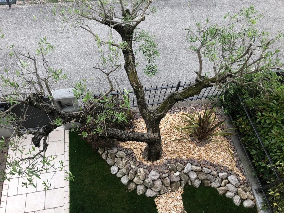 B&B Damiano Crespano del Grappa Dış mekan fotoğraf